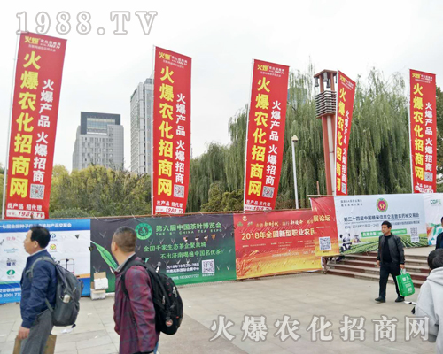 2018ɽ�|ֲ���p��������r(n��ng)���W(w��ng)ȫ���������̹���