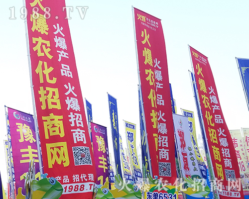     �ڶ�ʮһ�������r(n��ng)ˎ���������r(n��ng)���W(w��ng)ȫ���������̹���