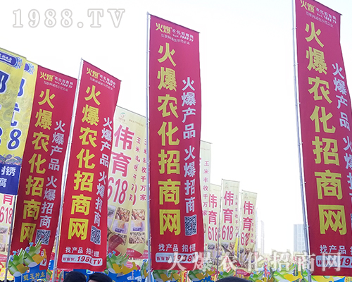 2018���������rˎ����1988.TV����***��