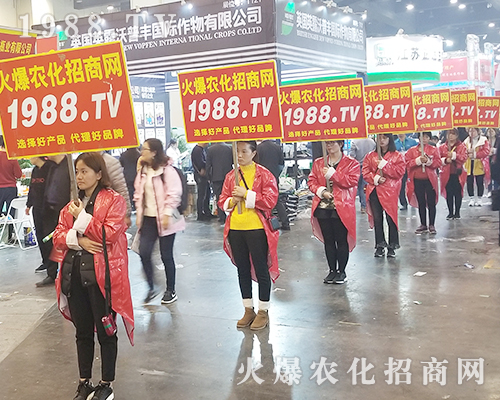     2018�����r(n��ng)ˎ�������r(n��ng)���W(w��ng)׌�fǧ�S�̳ɹ��_��(chu��ng)δ��