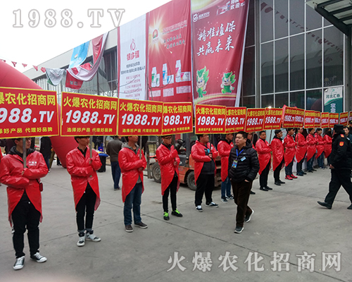 Ҫ����������1988.TV�ذ�����2018�ӱ�ֲ������