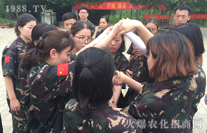 �������������ƵZǰ�С�Ӗ(x��n)���I(y��ng)��Ӗ(x��n)�w��(hu��)