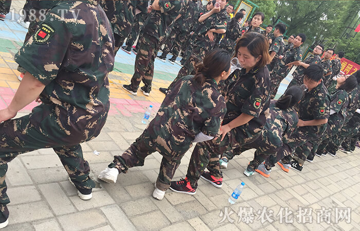 努力到無能為力,感動到感動自己