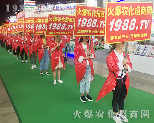 2018�����r(n��ng)�Y��(hu��)��1988.TV������������(sh��)���ɓ�