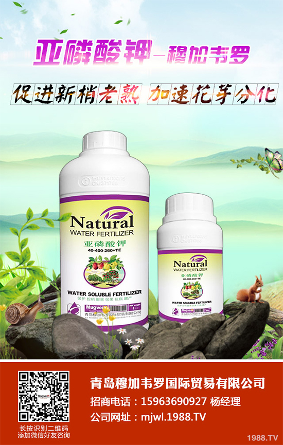 ���{(l��n)ܛ��������Щ�Y����F(xi��n)������ΰl(f��)���������{(l��n)ܛ�����A(y��)����ʩ