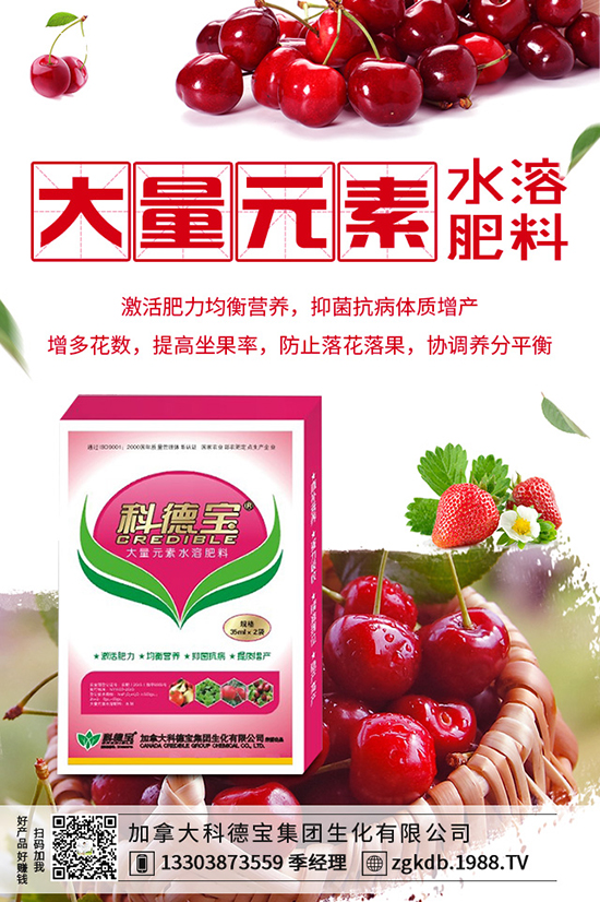 ������(ji��)�N��ᘹ����������������(ji��)��ᘹ�����������