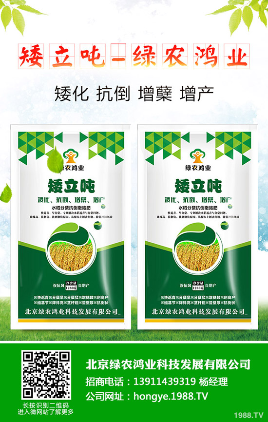 蒜苗的種植方法有哪些，如何才能獲得高產(chǎn)？