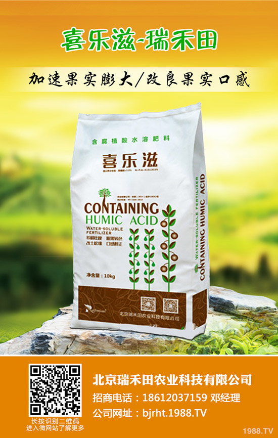 ����ʲô�r��Nֲ������Nֲ������ʲô��