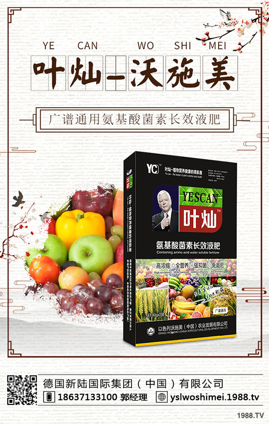 ��С����ʲô���F(xi��n)�S������������С���S����������δ�ʩ��