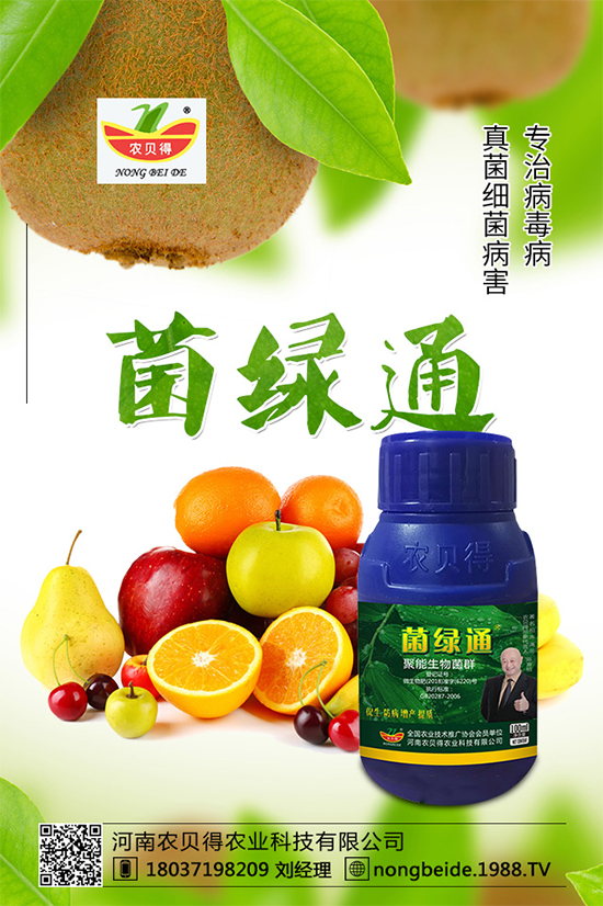 С��������_�x�N����֪������x�N�Ŀ��@����