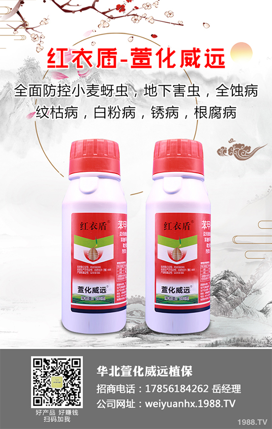 ʮ������