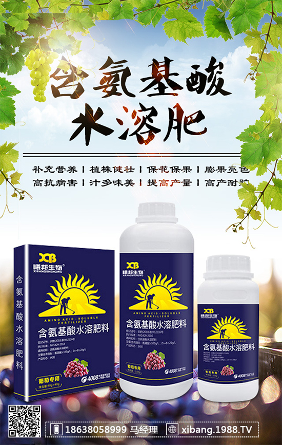 香蔥常見病害有哪些？香蔥病蟲害防治技術(shù)大全