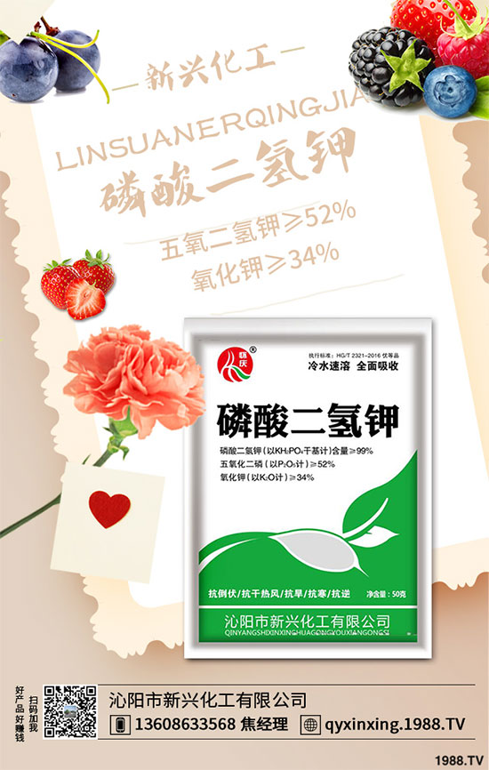 香蔥連作危害大，到底該如何解決？香蔥連作障礙及高產(chǎn)管理技術(shù)！