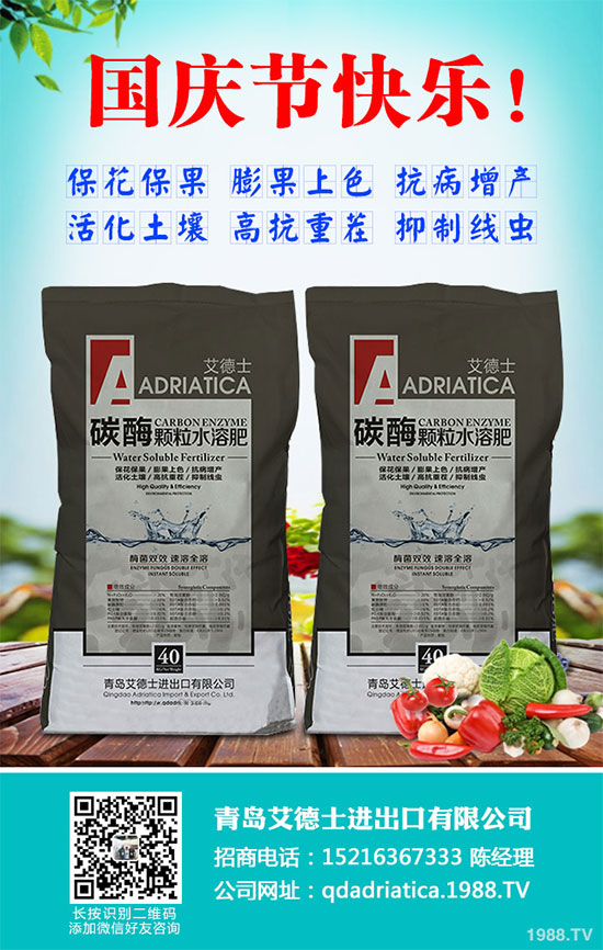 香蔥連作危害大，到底該如何解決？香蔥連作障礙及高產(chǎn)管理技術(shù)！