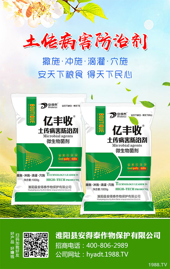 白蘿卜的功效與作用，白蘿卜營養(yǎng)價值！