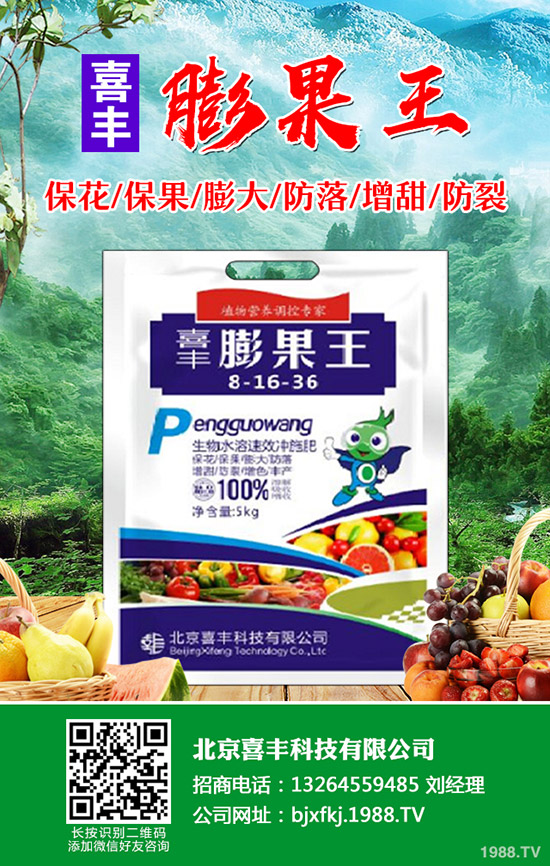 �۲˰l(f��)ѿ����ô�k���۲˴�ѿ��������Щ��