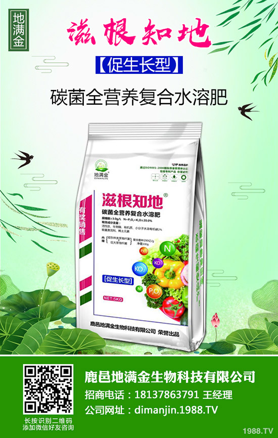     2019-10-19����������(n��i)��(f��)�Ϸ����������������(b��o)�r(ji��)