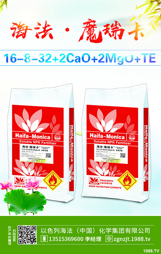     2019��10��21�ս��Շ���(n��i)���@�Ј������������S��(b��o)�r(ji��)һ�[