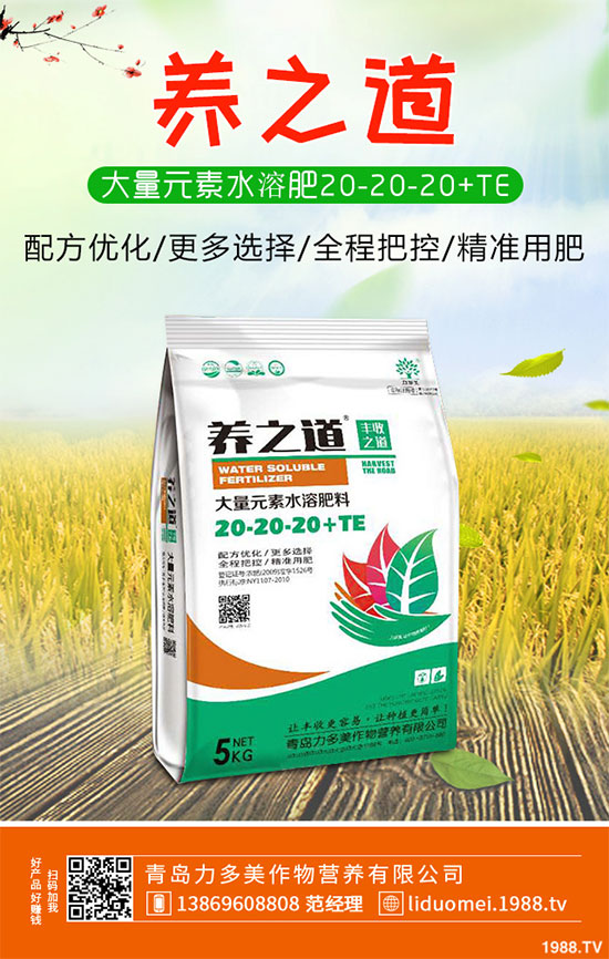 �ײ˰��P��Σ���@ô�󣬵���ԓ��η������ײ˰��P�����δ�ʩ