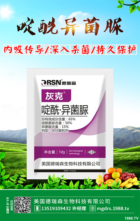     ���њ������r��