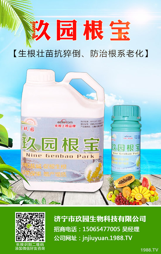 �������x��η����������x��Σ�����l(f��)��Ҏ(gu��)����