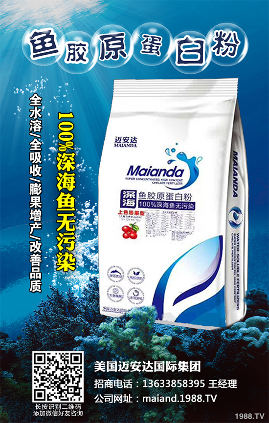 �ײ�ܛ��������������������ЩΣ�����ײ�ܛ�����İl(f��)���c����