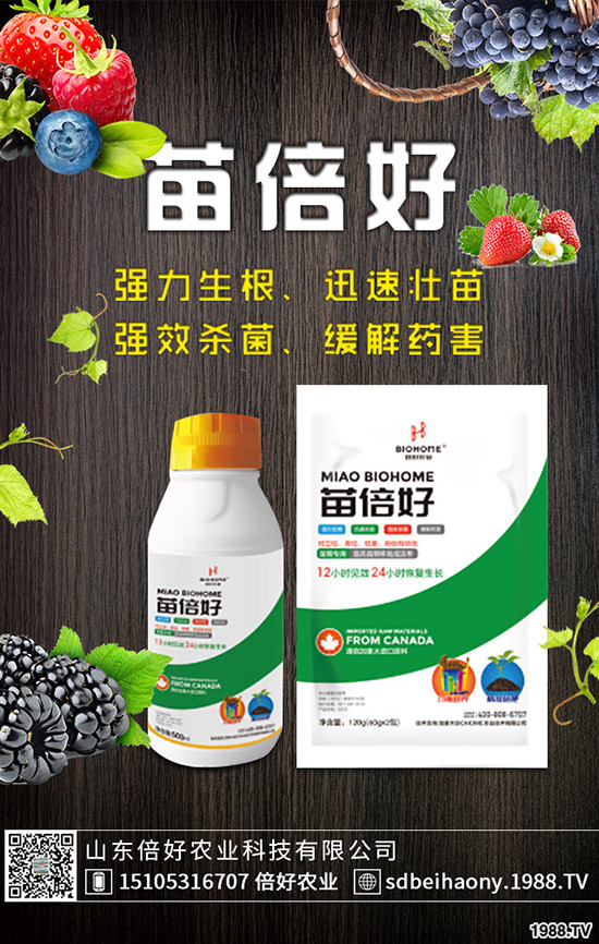 С�����N�󲻳����������ԭ����������С��������?