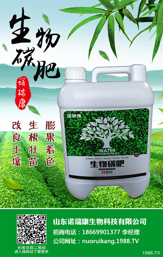 ����������ԓ��ô�N�������@���c���p�ɷN����������