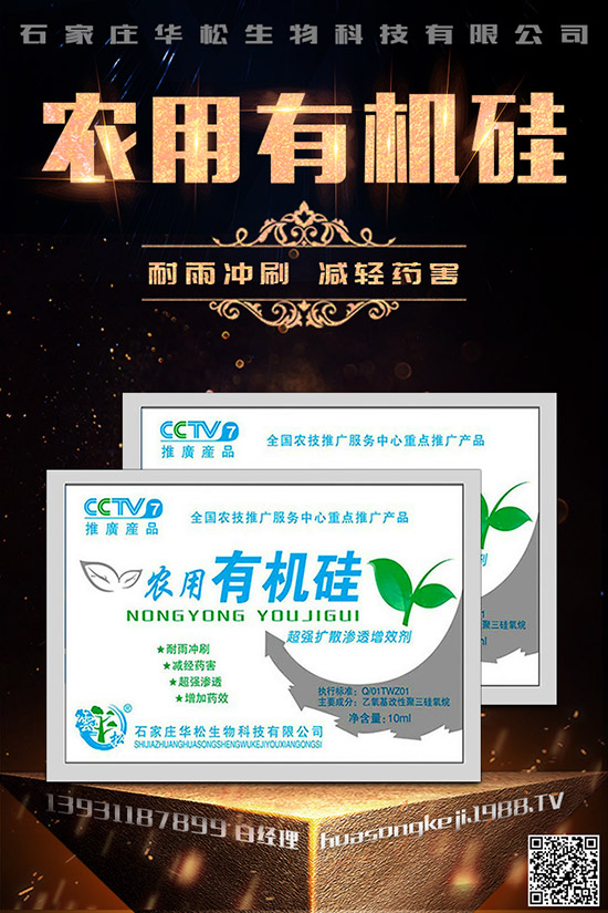 �۲˿��ĵ�ԭ����ʲô������A���۲˿�����