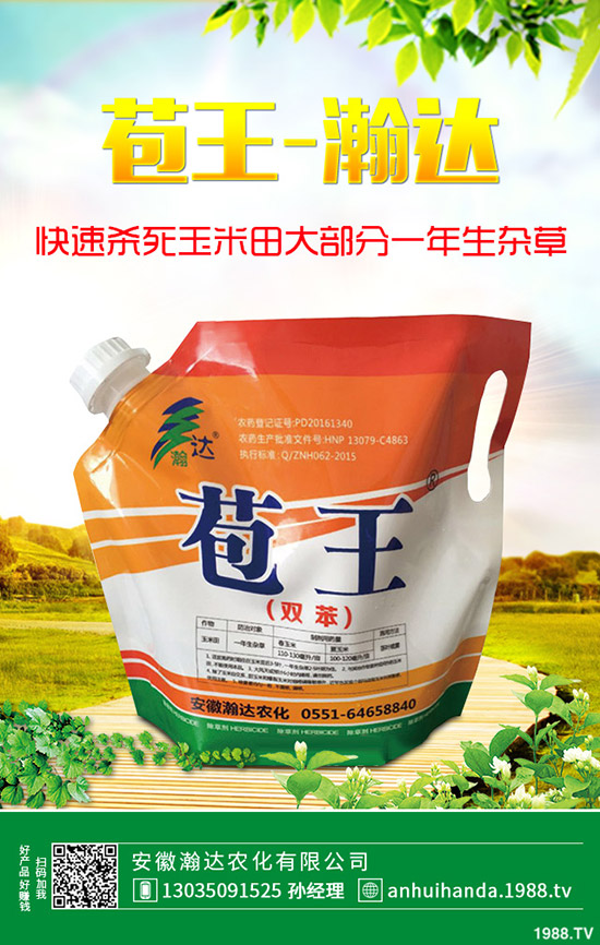 �紺�²���ôʩ�����²�ʩ�ʷ�����ע�������