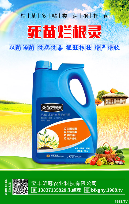 怎么種植羅漢果，羅漢果種植方法介紹！