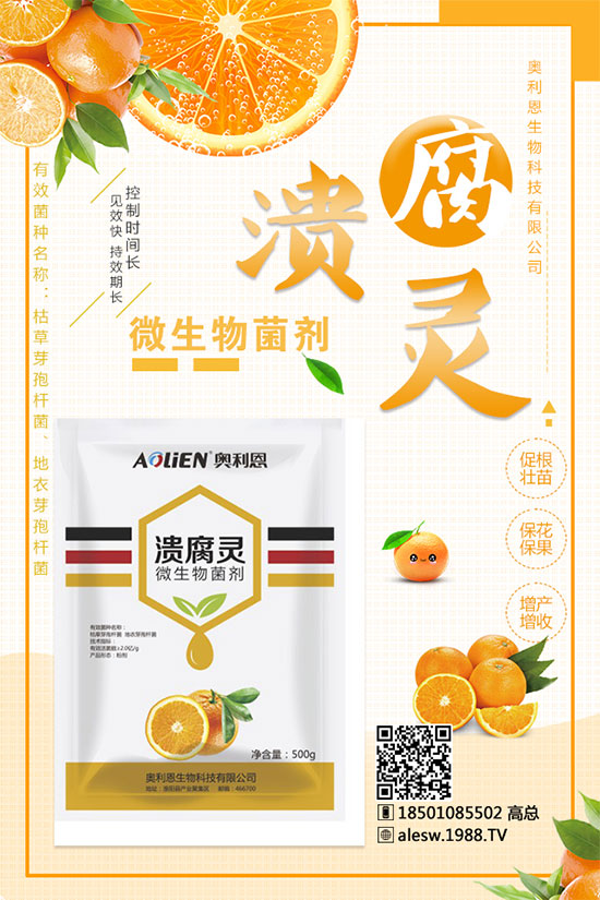 甘蔗什么時(shí)候種？甘蔗種植技術(shù)及種植條件