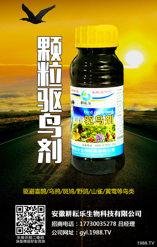 �������ܚ�ʲô�x�����������c������������ʹ��ע����헣�