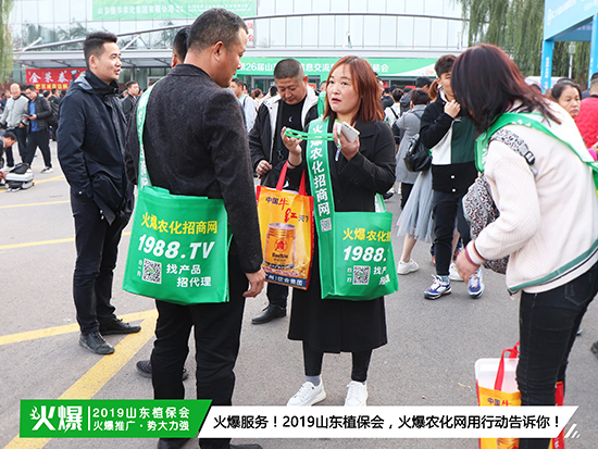 �F(xi��n)��(ch��ng)ֱ����2019ɽ�|ֲ����(hu��)ʢ���_(k��i)Ļ��ǧ�̅R��������ȼ��ȫ��(ch��ng)!-5