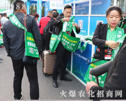 2019ɽ�|����ֲ������1988.TV�������F(xi��n)�����Pע��