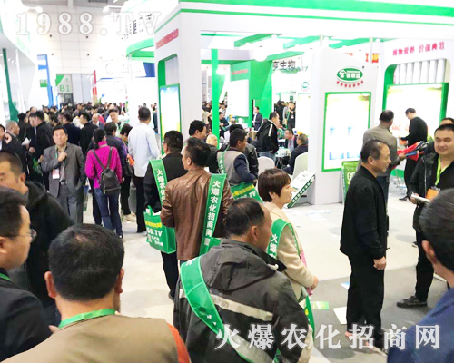 1988.TV���r(n��ng)�����̾W(w��ng)2019ɽ�|��(j��)��ֲ����(hu��)��(d��)���L(f��ng)����