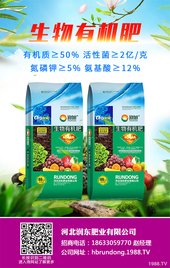 ��ζ��ԓ��ô��������ζ������Щ��̎����������ɣ�