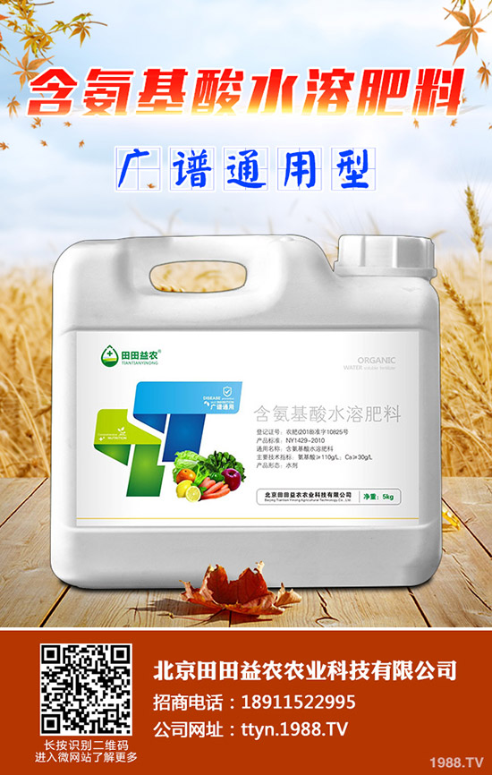 ⛷ʃr(ji��)���^�m(x��)���{(di��o)��⛷ʃr(ji��)������һ�[2019-11-14