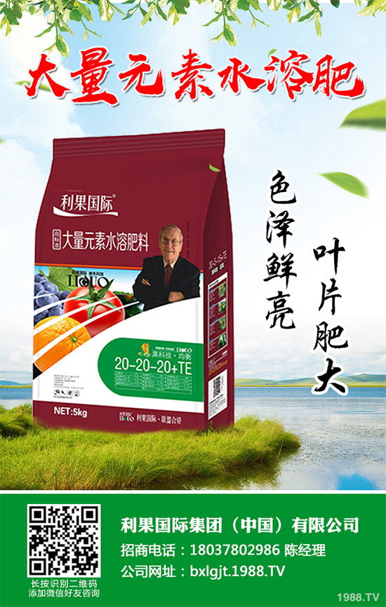 2020年種植水稻能掙錢嗎？2020年水稻種植前景