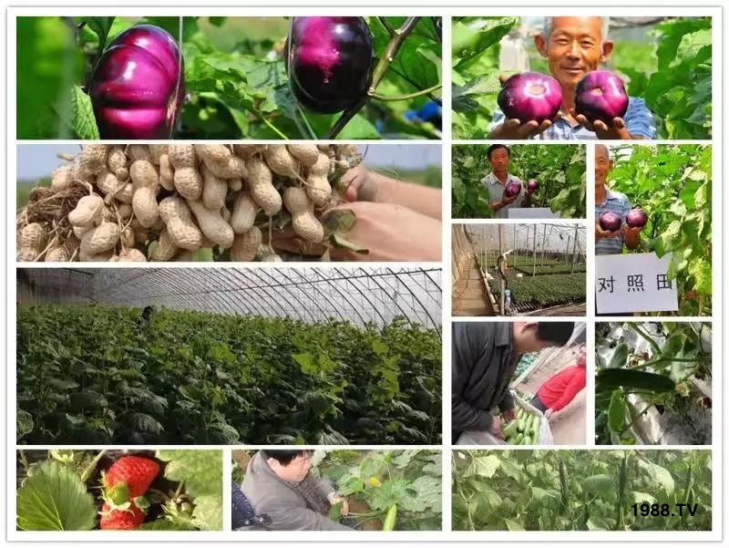 �VԴ�S����⛡�����Ʒ�ʣ�1����=8���ЙC�����½�Դ�^ֱ�l(f��)������