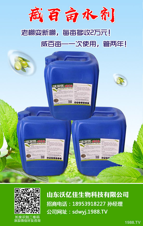 甜瓜什么時候種植?甜瓜怎么種植能高產?