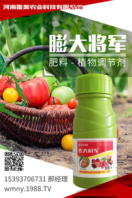 吃西柚有什么好處？挑選西柚的小技巧！