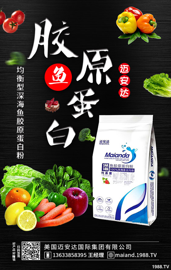 ������������M���B(y��ng)ֳ���o����ʮ�����ܷNֲ�B(y��ng)��С������