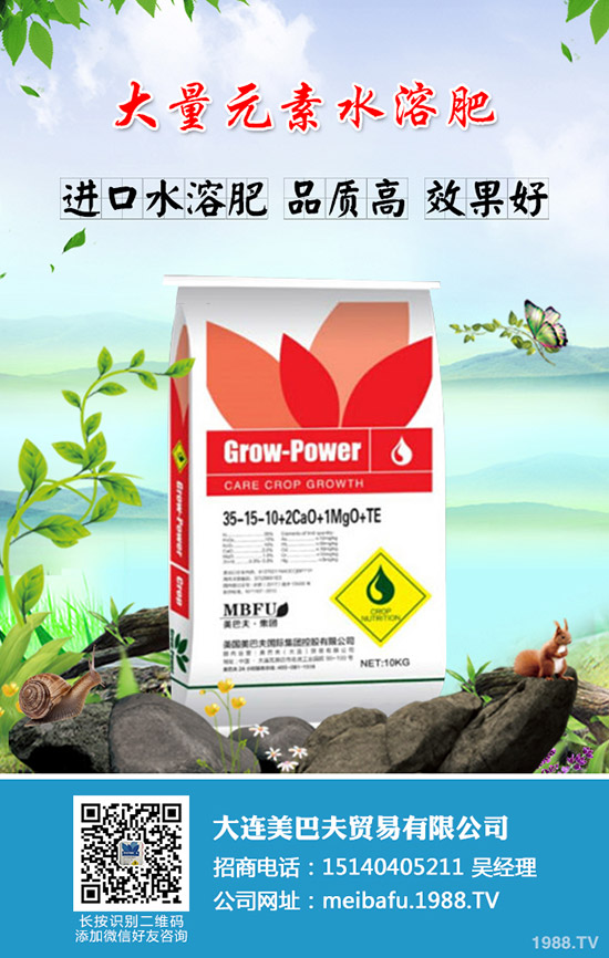     2019��11��2�ձ����������؃r(ji��)���߄�(sh��)���������u(p��ng)