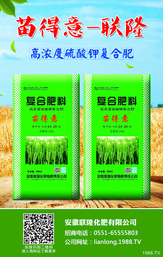 ��ţ��?q��)����w��ʲô��̎��ţ��ĠI(y��ng)�B(y��ng)�r(ji��)ֵ����Ч!