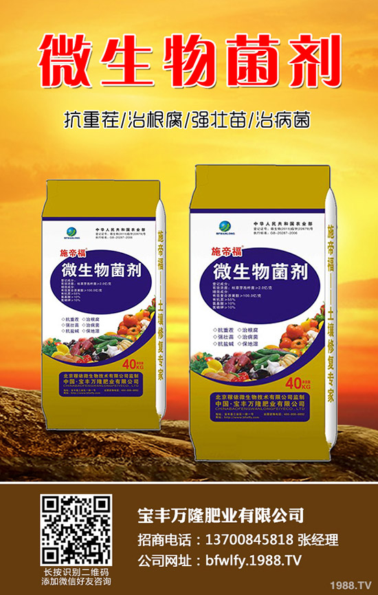 西蘭花種植方法有哪些？西蘭花種植注意事項(xiàng)！