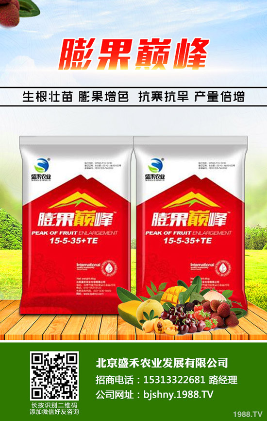 冬季大棚番茄空心果是什么原因，怎樣避免番茄空心果發(fā)生？