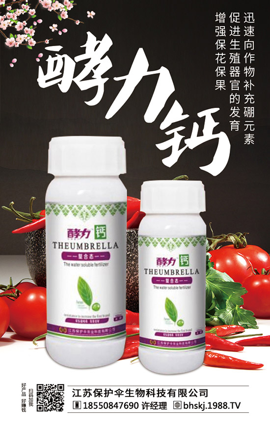 ���K���o������Ƽ����޹�˾1