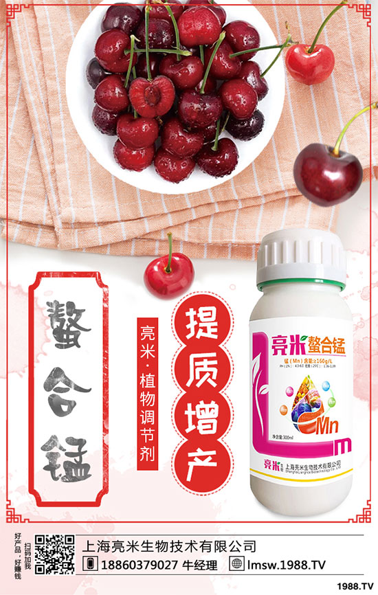 �S�������Щ�I(y��ng)�B(y��ng)�r(ji��)ֵ���S����߮a(ch��n)���༼�g(sh��)