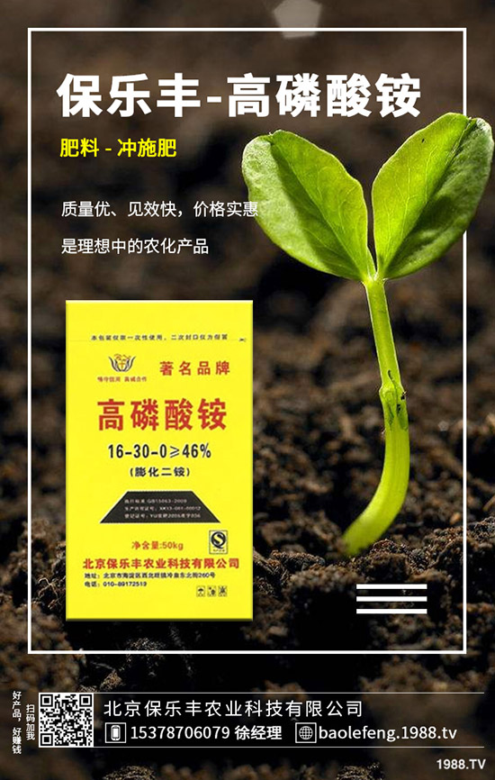 �}���������l(f��)��Ҏ(gu��)������Щ���}������������Ҫ�c��